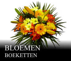 bloemen Benelux